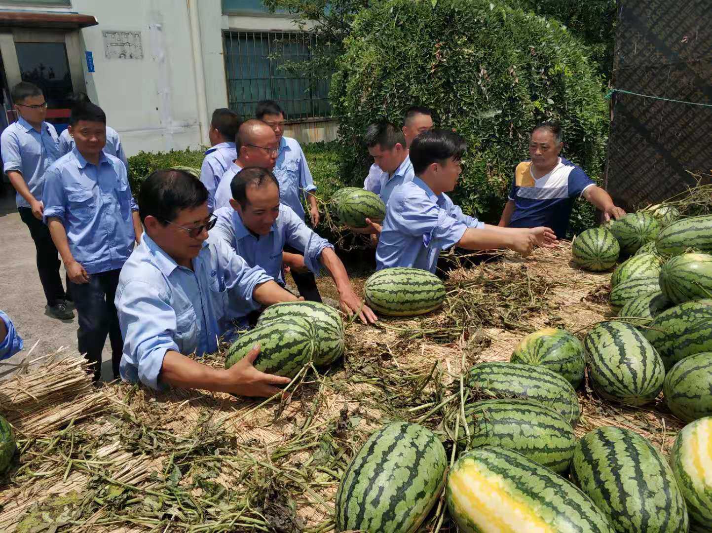 第50頁_新聞中心_蕪湖造船廠有限公司